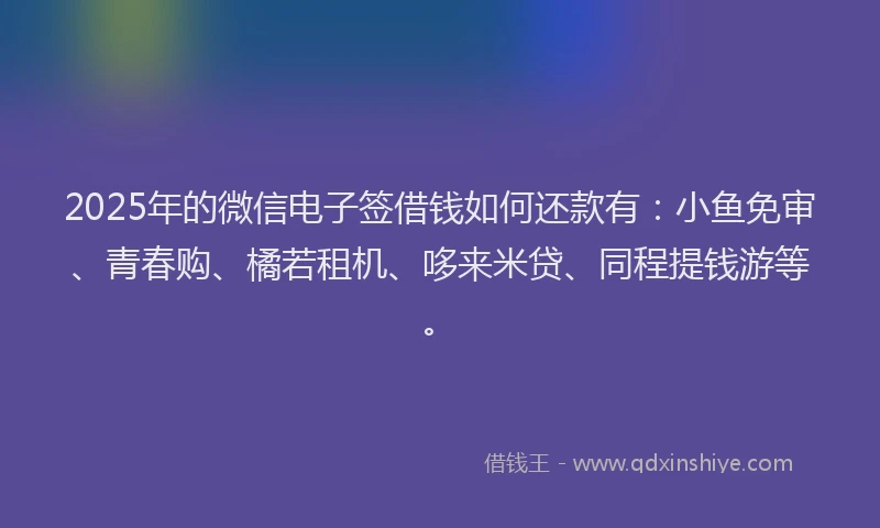 2025年的微信电子签借钱如何还款有：小鱼免审、青春购、橘若租机、哆来米贷、同程提钱游等。