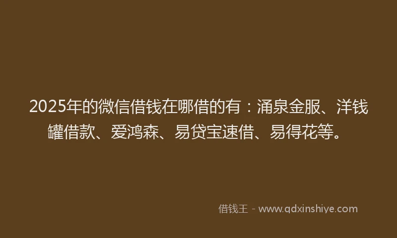 2025年的微信借钱在哪借的有：涌泉金服、洋钱罐借款、爱鸿森、易贷宝速借、易得花等。