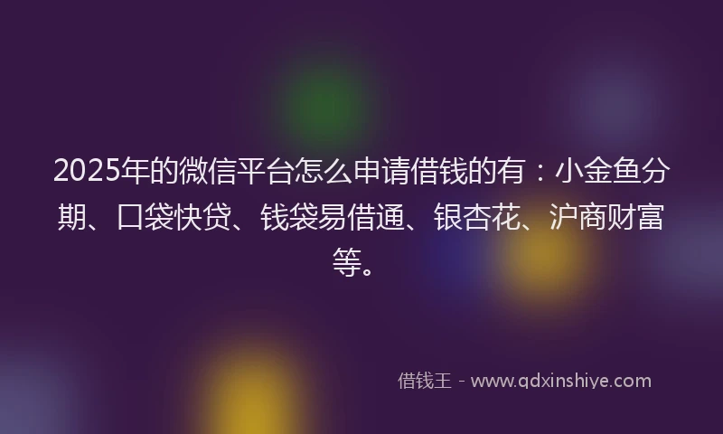 2025年的微信平台怎么申请借钱的有：小金鱼分期、口袋快贷、钱袋易借通、银杏花、沪商财富等。