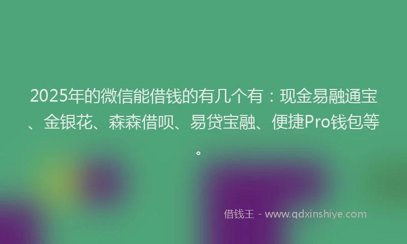2025年的微信能借钱的有几个有：现金易融通宝、金银花、森森借呗、易贷宝融、便捷Pro钱包等。