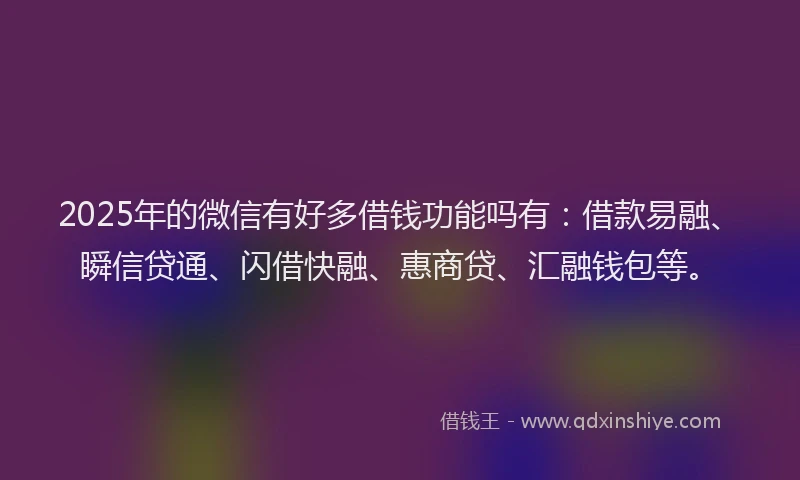 2025年的微信有好多借钱功能吗有：借款易融、瞬信贷通、闪借快融、惠商贷、汇融钱包等。