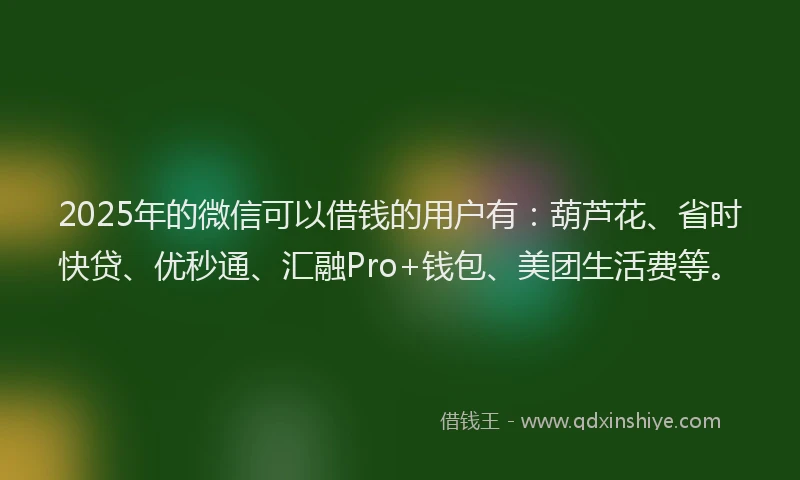 2025年的微信可以借钱的用户有：葫芦花、省时快贷、优秒通、汇融Pro+钱包、美团生活费等。