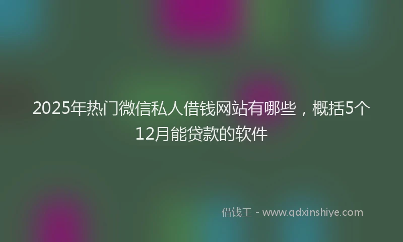 2025年热门微信私人借钱网站有哪些，概括5个12月能贷款的软件
