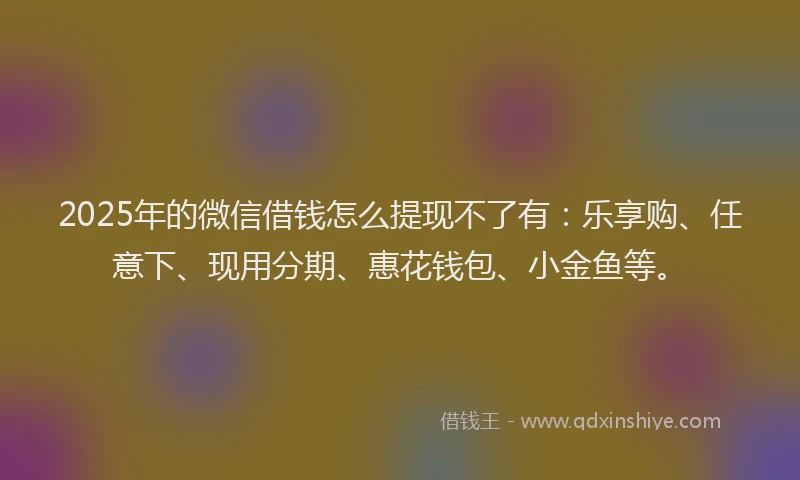 2025年的微信借钱怎么提现不了有：乐享购、任意下、现用分期、惠花钱包、小金鱼等。
