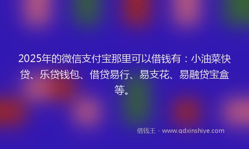 2025年的微信支付宝那里可以借钱有：小油菜快贷、乐贷钱包、借贷易行、易支花、易融贷宝盒等。