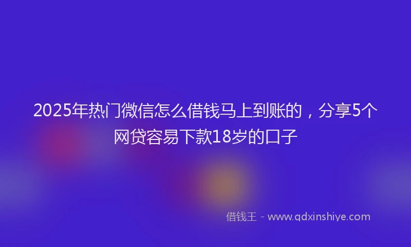 2025年热门微信怎么借钱马上到账的，分享5个网贷容易下款18岁的口子