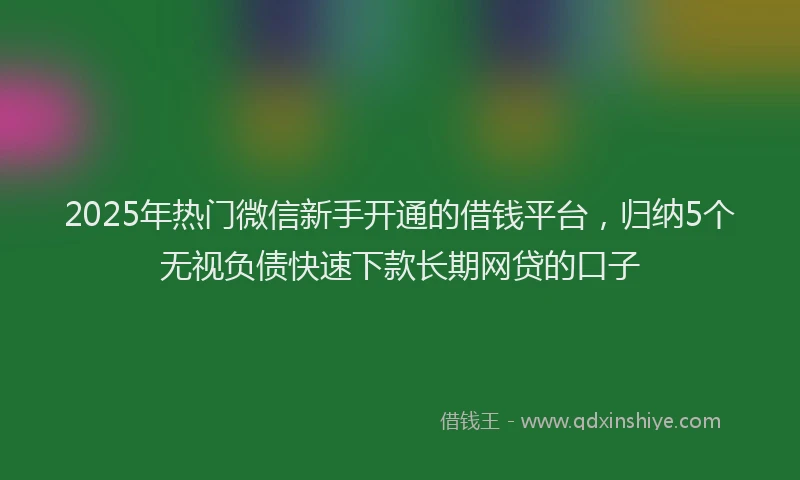 2025年热门微信新手开通的借钱平台，归纳5个无视负债快速下款长期网贷的口子