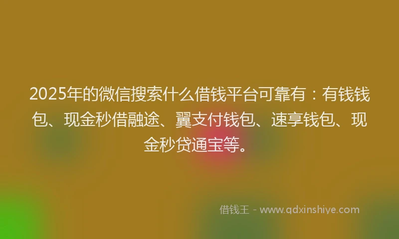 2025年的微信搜索什么借钱平台可靠有：有钱钱包、现金秒借融途、翼支付钱包、速享钱包、现金秒贷通宝等。