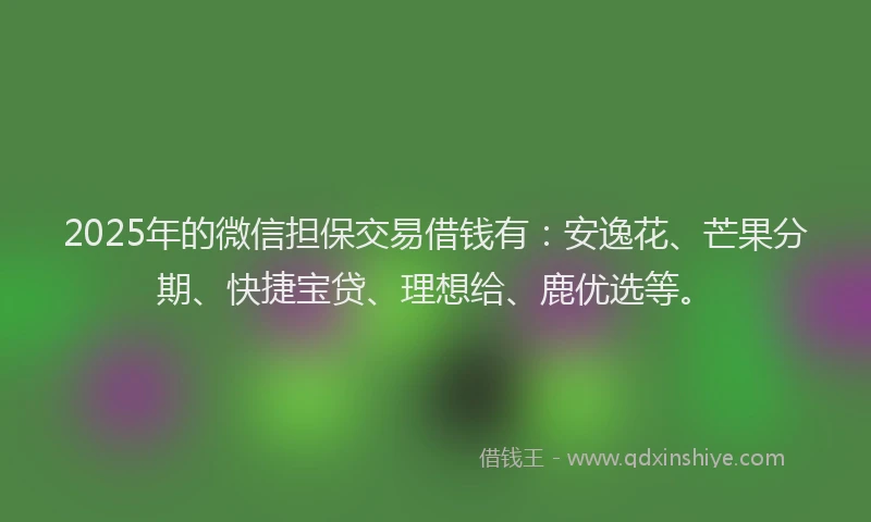 2025年的微信担保交易借钱有：安逸花、芒果分期、快捷宝贷、理想给、鹿优选等。