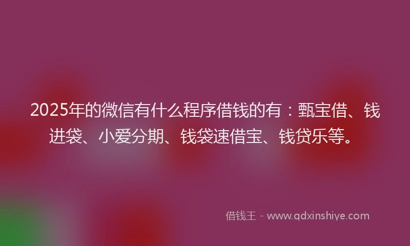 2025年的微信有什么程序借钱的有：甄宝借、钱进袋、小爱分期、钱袋速借宝、钱贷乐等。