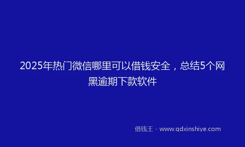 2025年热门微信哪里可以借钱安全，总结5个网黑逾期下款软件
