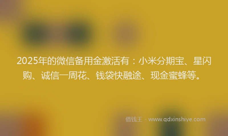 2025年的微信备用金激活有：小米分期宝、星闪购、诚信一周花、钱袋快融途、现金蜜蜂等。