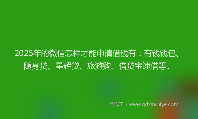 2025年的微信怎样才能申请借钱有：有钱钱包、随身贷、星辉贷、旅游购、借贷宝速借等。