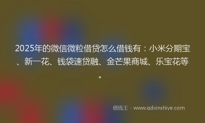 2025年的微信微粒借贷怎么借钱有：小米分期宝、新一花、钱袋速贷融、金芒果商城、乐宝花等。