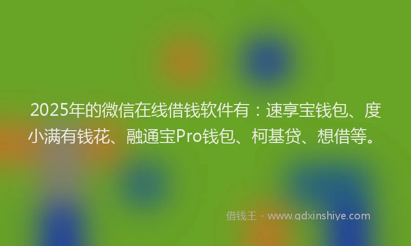 2025年的微信在线借钱软件有：速享宝钱包、度小满有钱花、融通宝Pro钱包、柯基贷、想借等。