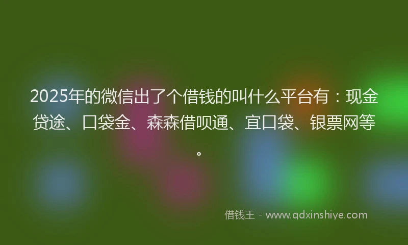 2025年的微信出了个借钱的叫什么平台有：现金贷途、口袋金、森森借呗通、宜口袋、银票网等。