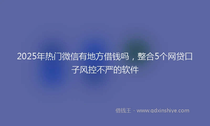2025年热门微信有地方借钱吗，整合5个网贷口子风控不严的软件