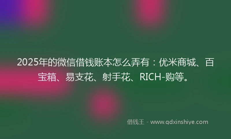 2025年的微信借钱账本怎么弄有：优米商城、百宝箱、易支花、射手花、RICH-购等。