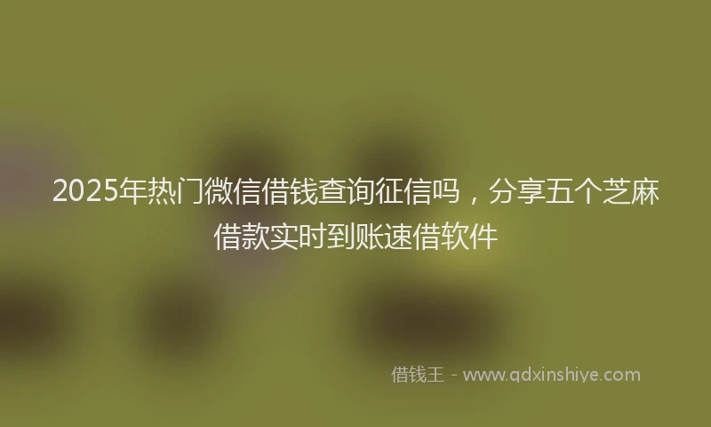 2025年热门微信借钱查询征信吗，分享五个芝麻借款实时到账速借软件