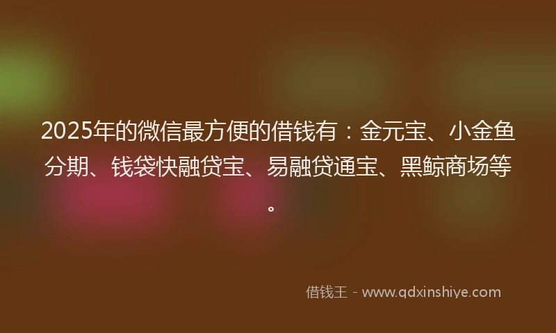 2025年的微信最方便的借钱有：金元宝、小金鱼分期、钱袋快融贷宝、易融贷通宝、黑鲸商场等。