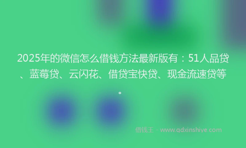 2025年的微信怎么借钱方法最新版有：51人品贷、蓝莓贷、云闪花、借贷宝快贷、现金流速贷等。