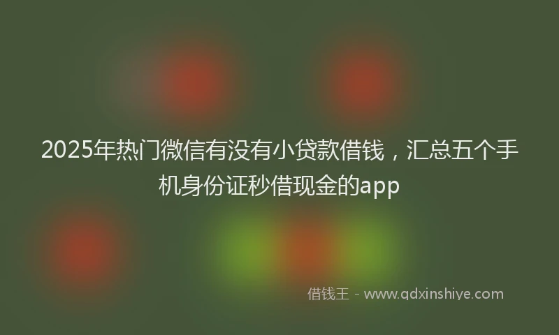2025年热门微信有没有小贷款借钱，汇总五个手机身份证秒借现金的app