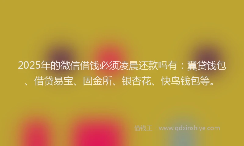 2025年的微信借钱必须凌晨还款吗有：翼贷钱包、借贷易宝、固金所、银杏花、快鸟钱包等。