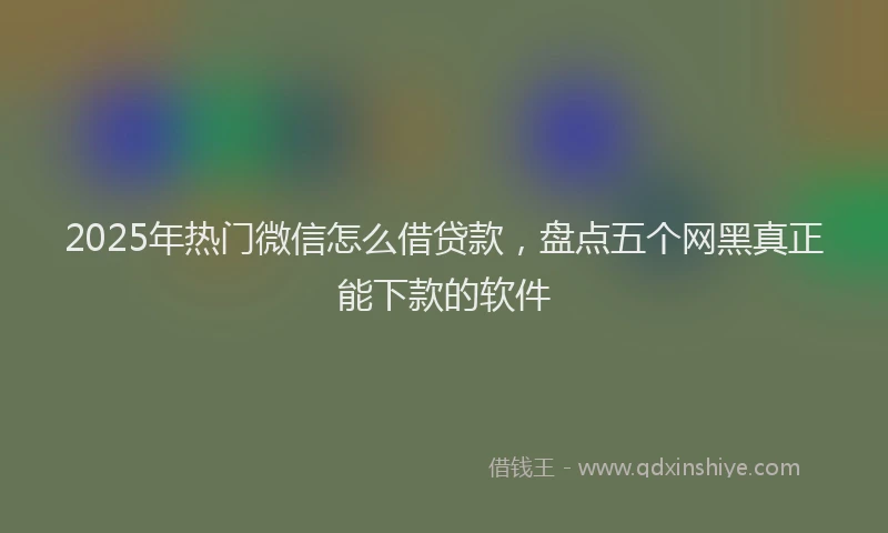 2025年热门微信怎么借贷款，盘点五个网黑真正能下款的软件