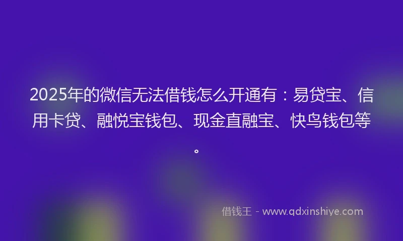 2025年的微信无法借钱怎么开通有：易贷宝、信用卡贷、融悦宝钱包、现金直融宝、快鸟钱包等。