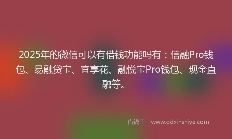 2025年的微信可以有借钱功能吗有：信融Pro钱包、易融贷宝、宜享花、融悦宝Pro钱包、现金直融等。