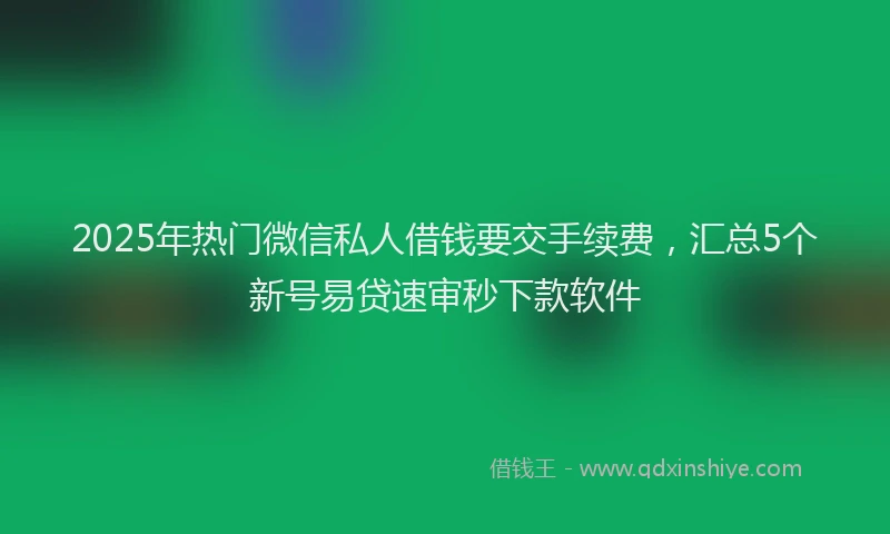 2025年热门微信私人借钱要交手续费，汇总5个新号易贷速审秒下款软件