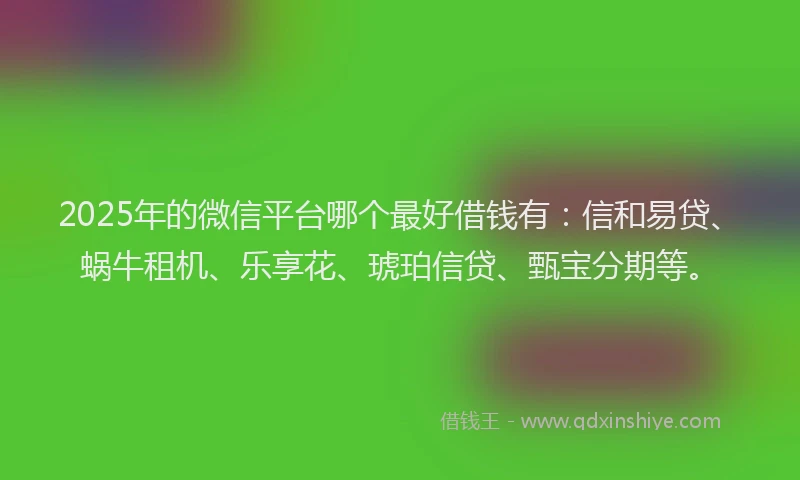 2025年的微信平台哪个最好借钱有：信和易贷、蜗牛租机、乐享花、琥珀信贷、甄宝分期等。