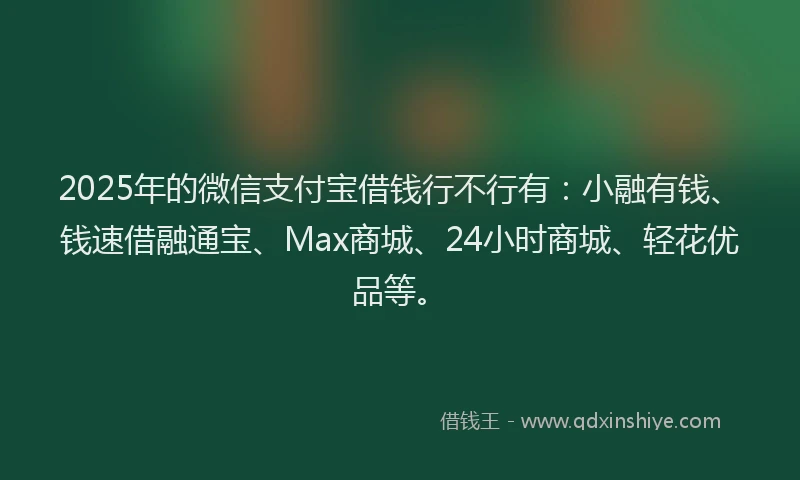 2025年的微信支付宝借钱行不行有：小融有钱、钱速借融通宝、Max商城、24小时商城、轻花优品等。