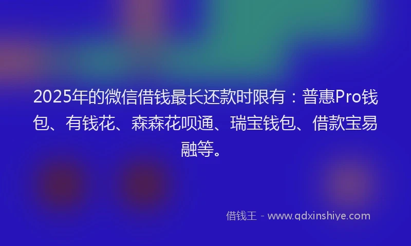 2025年的微信借钱最长还款时限有:普惠Pro钱包、有钱花、森森花呗通、瑞宝钱包、借款宝易融等。
