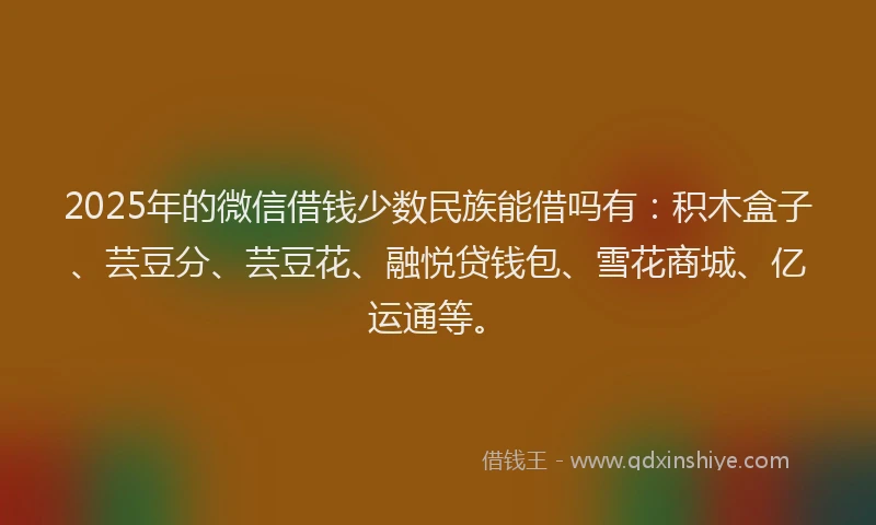 2025年的微信借钱少数民族能借吗有：积木盒子、芸豆分、芸豆花、融悦贷钱包、雪花商城、亿运通等。