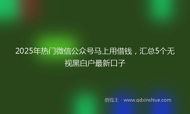 2025年热门微信公众号马上用借钱，汇总5个无视黑白户最新口子