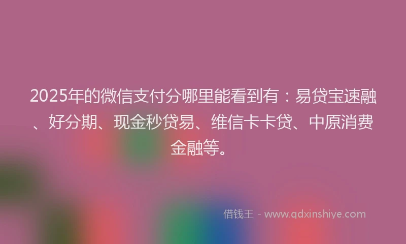 2025年的微信支付分哪里能看到有：易贷宝速融、好分期、现金秒贷易、维信卡卡贷、中原消费金融等。
