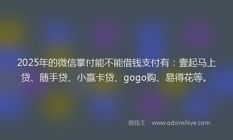 2025年的微信掌付能不能借钱支付有：壹起马上贷、随手贷、小赢卡贷、gogo购、易得花等。