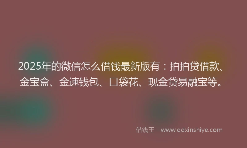 2025年的微信怎么借钱最新版有：拍拍贷借款、金宝盒、金速钱包、口袋花、现金贷易融宝等。