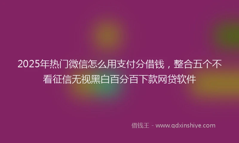 2025年热门微信怎么用支付分借钱，整合五个不看征信无视黑白百分百下款网贷软件
