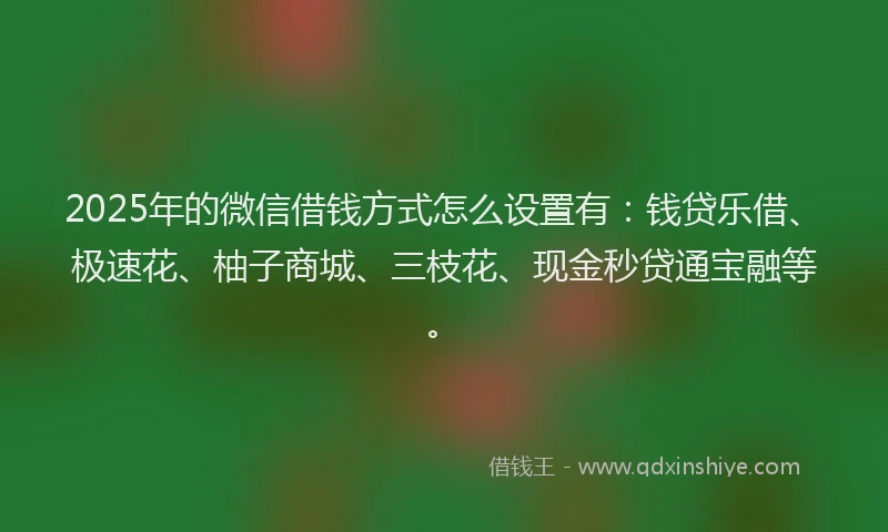2025年的微信借钱方式怎么设置有：钱贷乐借、极速花、柚子商城、三枝花、现金秒贷通宝融等。