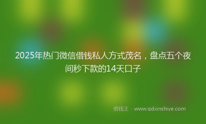 2025年热门微信借钱私人方式茂名，盘点五个夜间秒下款的14天口子