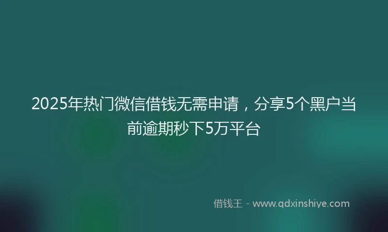 2025年热门微信借钱无需申请，分享5个黑户当前逾期秒下5万平台