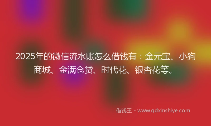 2025年的微信流水账怎么借钱有：金元宝、小狗商城、金满仓贷、时代花、银杏花等。