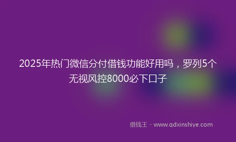 2025年热门微信分付借钱功能好用吗，罗列5个无视风控8000必下口子