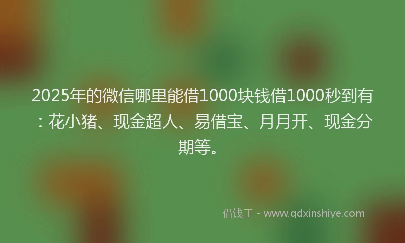 2025年的微信哪里能借1000块钱借1000秒到有：花小猪、现金超人、易借宝、月月开、现金分期等。