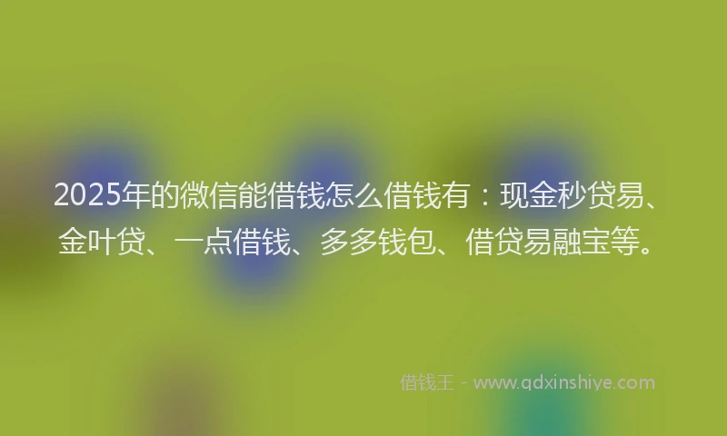 2025年的微信能借钱怎么借钱有：现金秒贷易、金叶贷、一点借钱、多多钱包、借贷易融宝等。