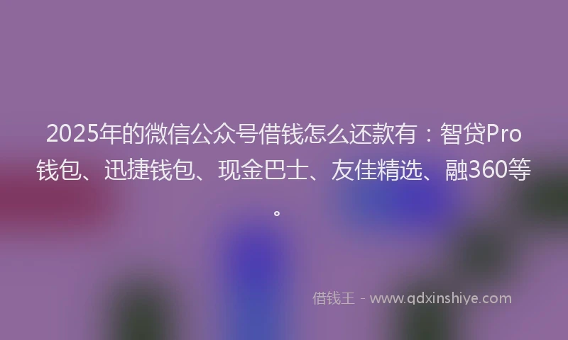 2025年的微信公众号借钱怎么还款有：智贷Pro钱包、迅捷钱包、现金巴士、友佳精选、融360等。
