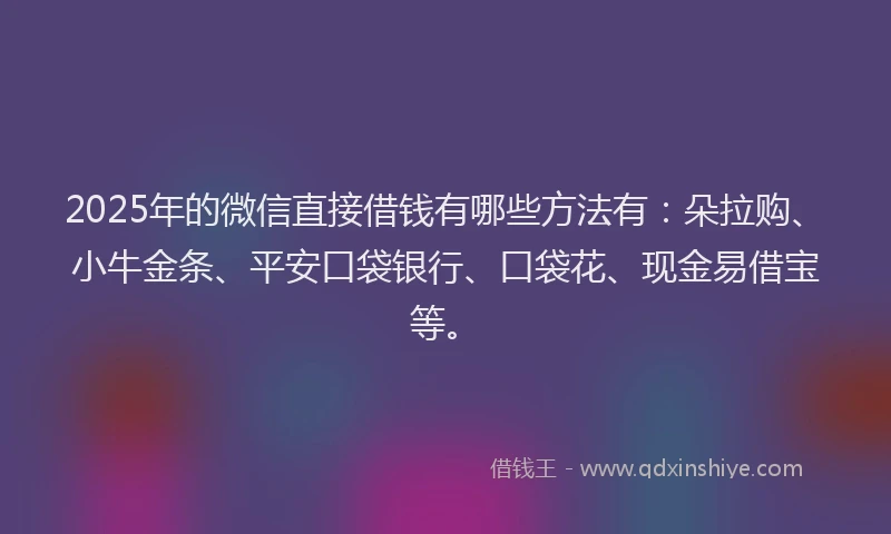2025年的微信直接借钱有哪些方法有：朵拉购、小牛金条、平安口袋银行、口袋花、现金易借宝等。