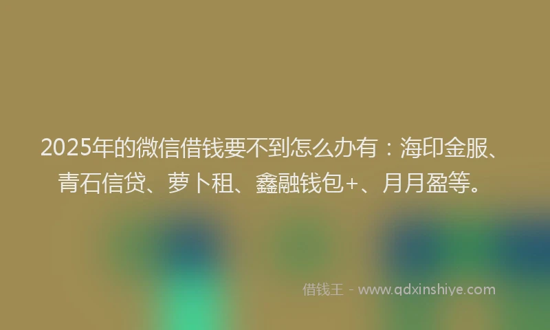 2025年的微信借钱要不到怎么办有：海印金服、青石信贷、萝卜租、鑫融钱包+、月月盈等。